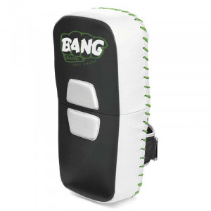 Paou Thai Boxing Mitt