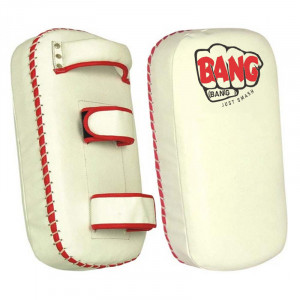 Paou Thai Boxing Mitt