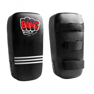 Paou Thai Boxing Mitt