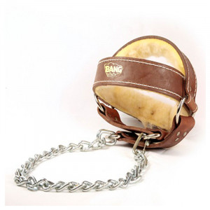 Head Harness